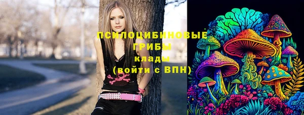 бутират Алзамай