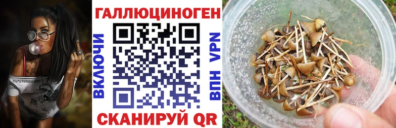 Галлюциногенные грибы Psilocybe  Краснокамск 